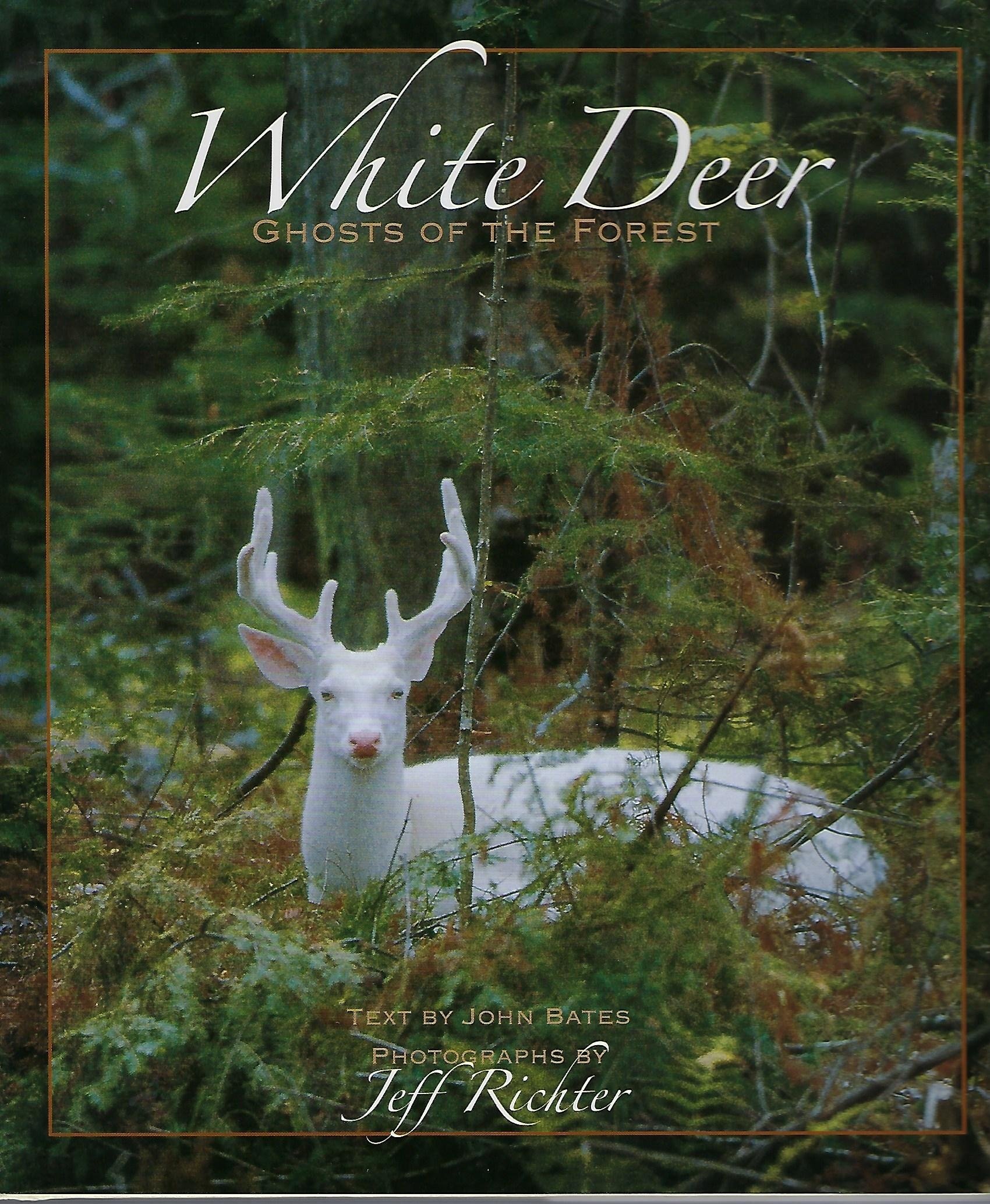 white-deer